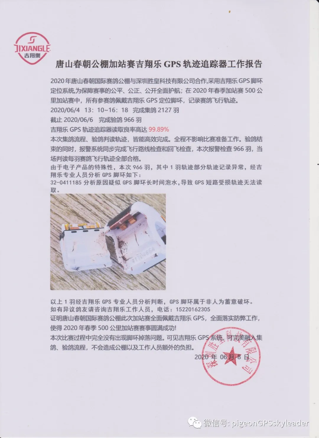賽鴿比賽時間的科學:揭示競技背後的奧秘與策略